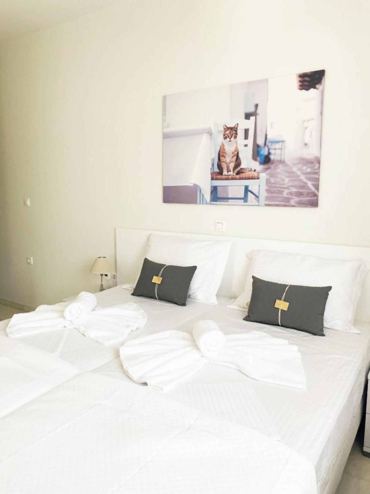 Heart Of Paros Apartments Kültér fotó
